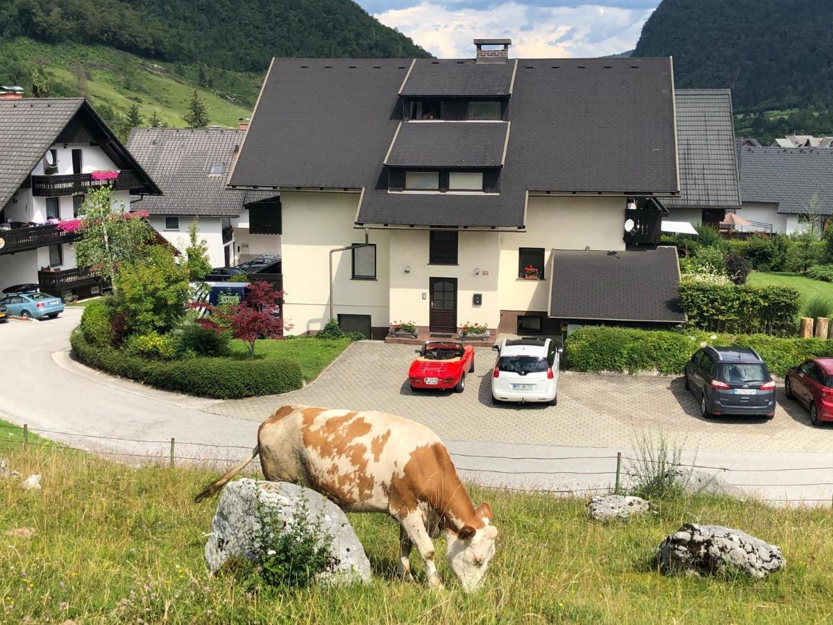 Apartment In The Heart Of Nature Bohinj Eksteriør billede